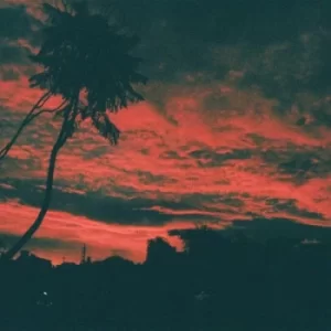 Image of Aliso by Malena Zavala Vinyl Album