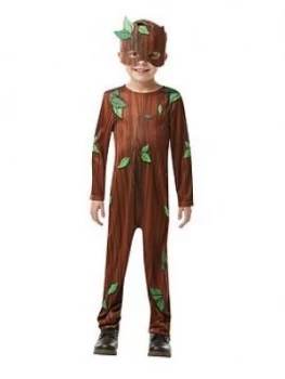 Image of Roald Dahl Twig Boy Costume
