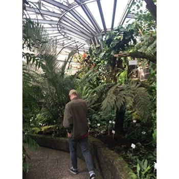 Image of Chmmr - Lp-Chmmr-Try New Things -Lp Vinyl