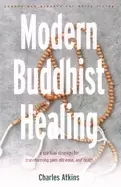 Image of modern buddhist healing a spiritual strategy for transforming pain dis ease