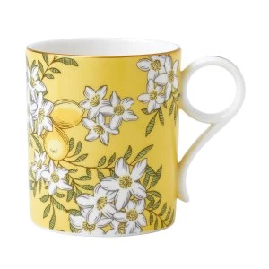 Image of Wedgwood Tea garden lemon ginger mug