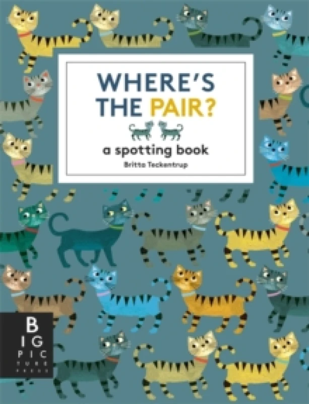 Image of Where's the Pair? A Spotting Book Paperback / softback