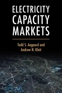 Image of Electricity Capacity Markets