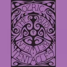 Image of The Bits Between the Bits