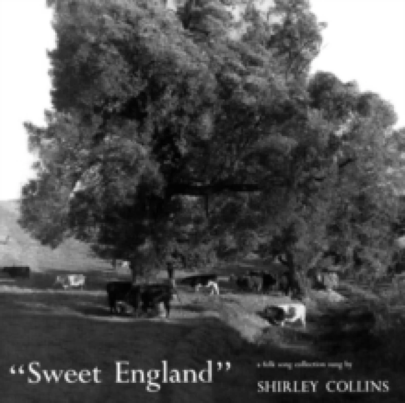 Image of Sweet England Vinyl