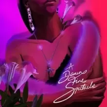 Image of A Damn Fine Spectacle