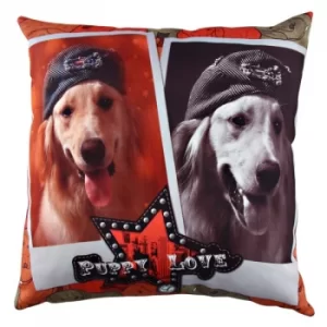 Image of A10946 Multicolor Cushion