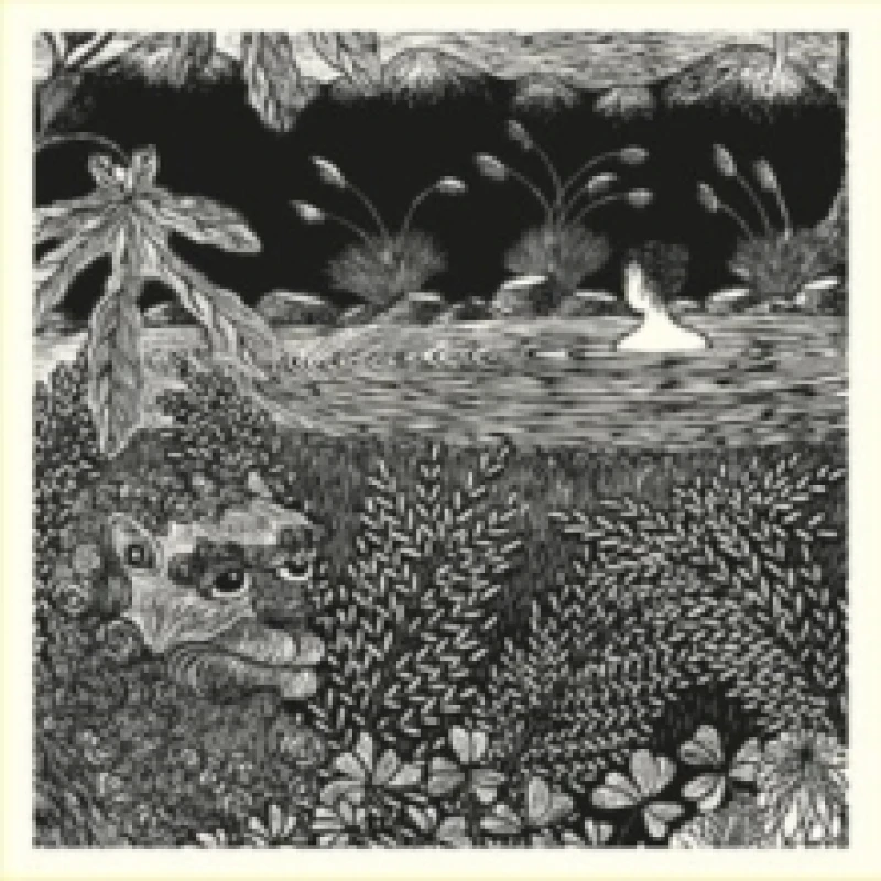 Image of In the Garden of Mindfulness Vinyl