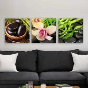 Image of DRPRC21 Multicolor Decorative Canvas Painting (3 Pieces)