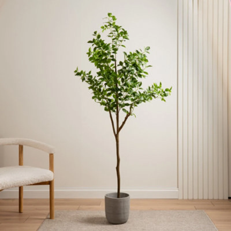 Image of Scottish Everlastings Ltd 180cm Real Touch K/D Ficus Tree in Green Green Unisex