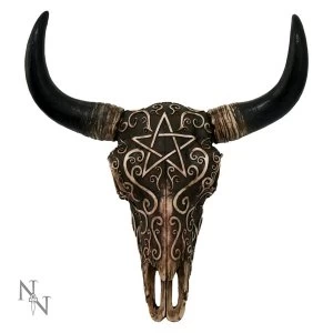 Image of Ritual Remains Bison Skull