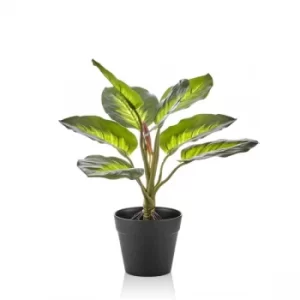 Image of CCK0200 Artificial Green Plant in Black Pot