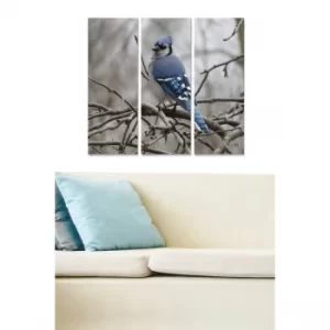 Image of MDF3372316 Multicolor Decorative MDF Painting (3 Pieces)