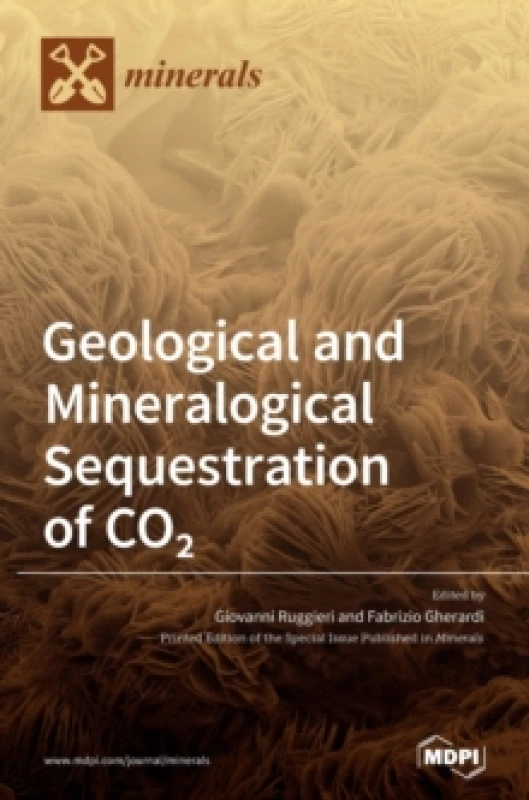 Image of Geological and Mineralogical Sequestration of CO2 Hardback