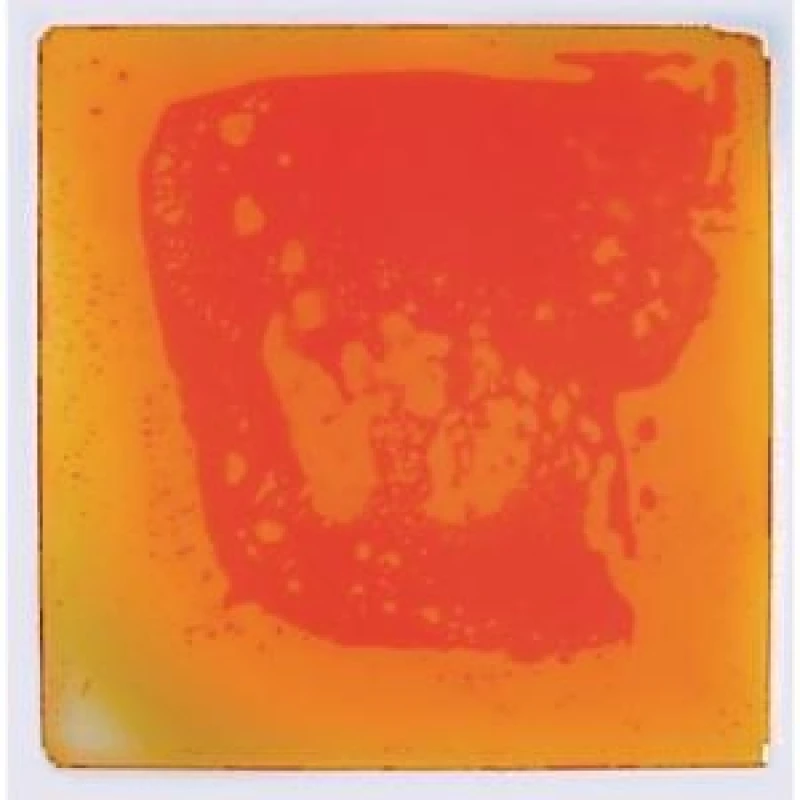 Image of Sensory Floor Tiles - Orange