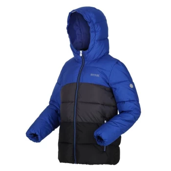 Image of Regatta Lofthouse V - Surfspry/Ash