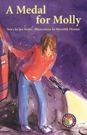 Image of PM Emerald: A Medal for Molly (PM Chapter Books) Level 26