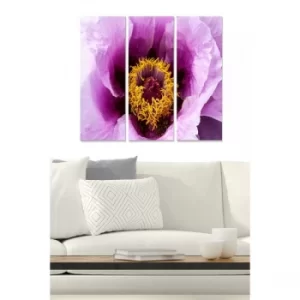 Image of MDF342212 Multicolor Decorative MDF Painting (3 Pieces)