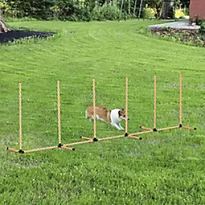 Image of PawHut Pet Agility Training Equipment Orange, White