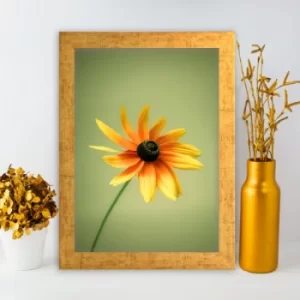 Image of AC346430351 Multicolor Decorative Framed MDF Painting