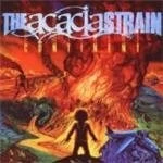 Image of Acacia Strain - Continent