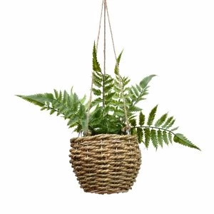 Image of Faux Hanging Fern in Rattan Basket in Gift Box 40cm