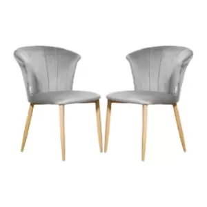 Image of Elsa Velvet Upholstered Dining Chair Set of 2 - Grey - Grey