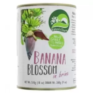 Image of Natures Charm Banana Blossom In Brine 510g (24 minimum)