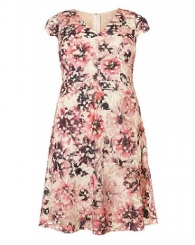 Image of Studio 8 By Phase Eight Joselyn Dress