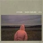 Image of David Darling - Cycles