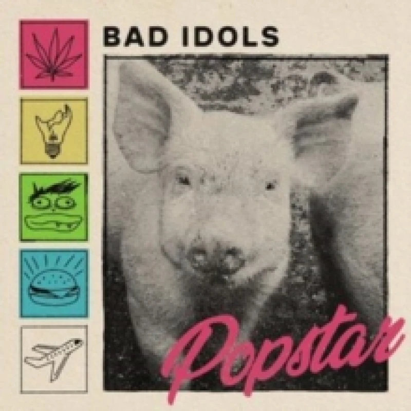 Image of Popstar Vinyl