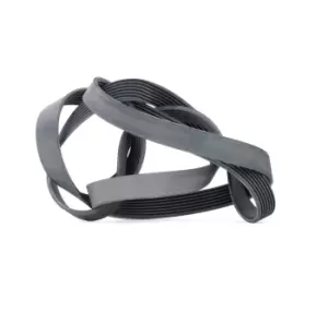 Image of Bosch V-ribbed belt 1 987 947 551 Serpentine belt,Auxiliary belt MERCEDES-BENZ,KIA,E-Klasse Limousine (W211),M-Klasse (W163),S-Klasse Limousine (W220)