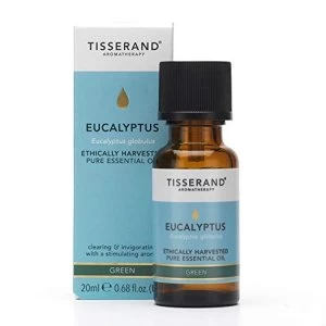 Image of Tisserand Aromatherapy Eucalyptus Essential Oil Ethically Harvested 20ml
