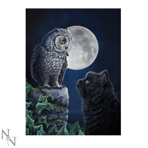 Image of Purrfect Wisdom 3D Picture