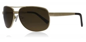 Image of Dirty Dog Crofter Sunglasses Gold Crofter Polariserade 60mm