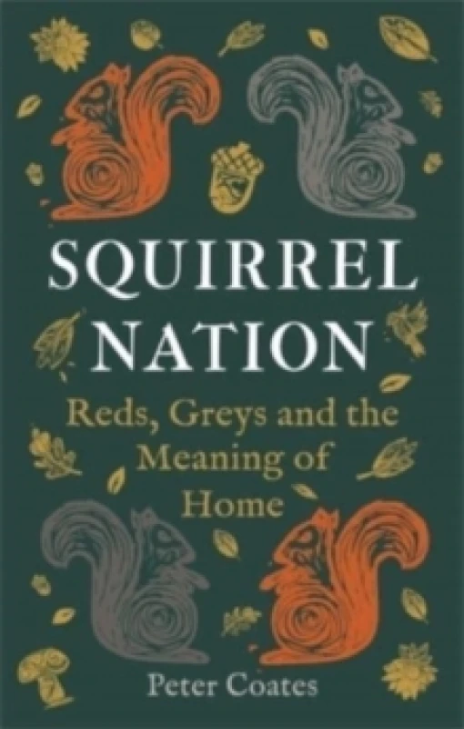 Image of Squirrel Nation : Reds, Greys and the Meaning of Home Hardback