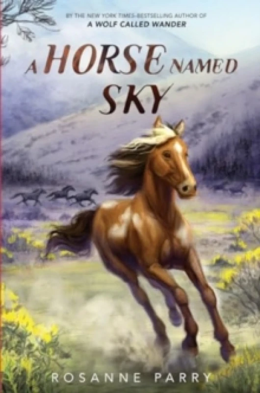 Image of A Horse Named Sky Paperback / softback