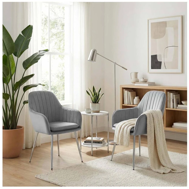 Image of Alivio Set of 2 Upholstered Velvet Dining Arm Chairs with Removable Cushion in Grey Grey Unisex