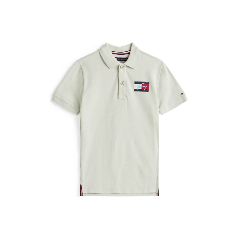 Image of Tommy Hilfiger Kids Short Sleeve Polo Shirt Misty Sage M1C male 12Y