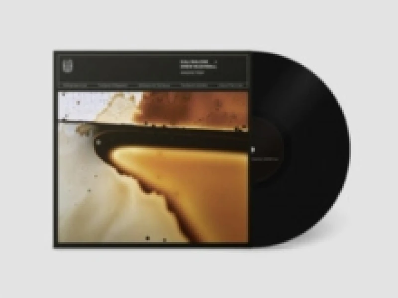 Image of Magnetism Vinyl