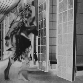 Image of Femme - Ruderal Exotique Vinyl