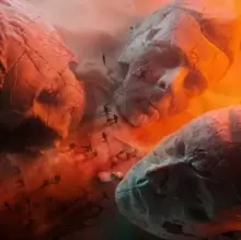 Image of Will of the People