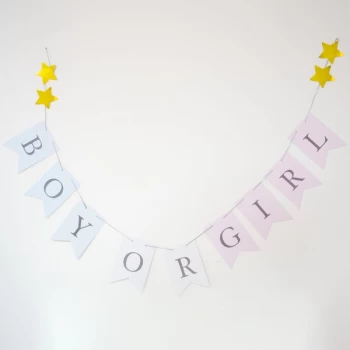 Image of Bambino Gender Reveal Bunting - Boy or Girl