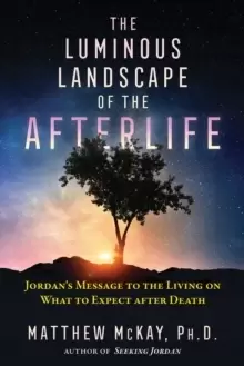 Image of The Luminous Landscape of the Afterlife : Jordans Message to the Living on What to Expect after Death