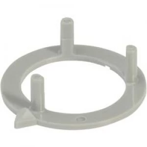 Image of Pointer Grey Suitable for 40 mm rotary knob OKW A