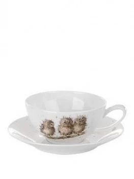 Image of Royal Worcester Wrendale Owls Cup And Saucer