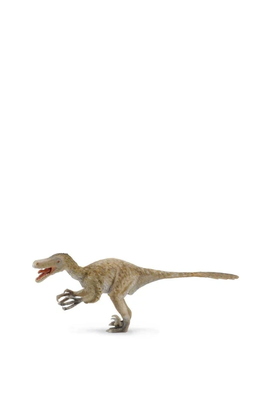 Image of CollectA Velociraptor Dinosaur Toy in Light Beige Light Beige Unisex