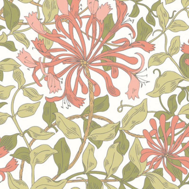 Image of Hoopla Walls Honeysuckle Leaf Trail Coral Pink Smooth Matt Wallpaper