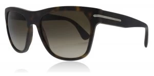 Image of Prada PR03RS Sunglasses Havana HAQ1X1 55mm