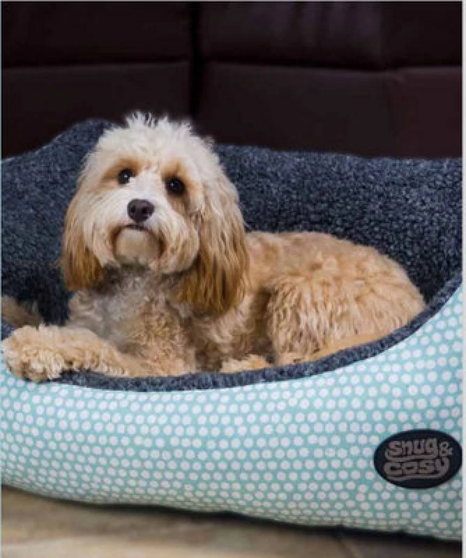 Image of Snug & Cosy Pets Snug And Cosy Light Blue Polka Dot Rectangle Bed 42"